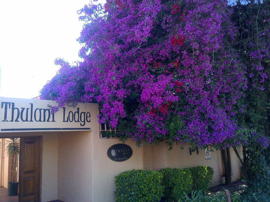 Thulani Lodge 요하네스버그 외부 사진